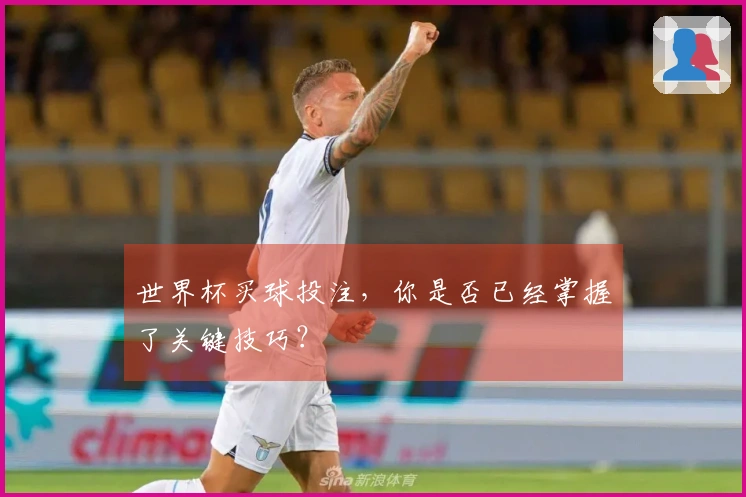 世界杯买球投注，你是否已经掌握了关键技巧？
