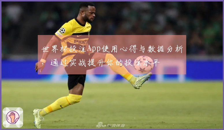 世界杯投注App使用心得与数据分析，通过实战提升你的投注水平