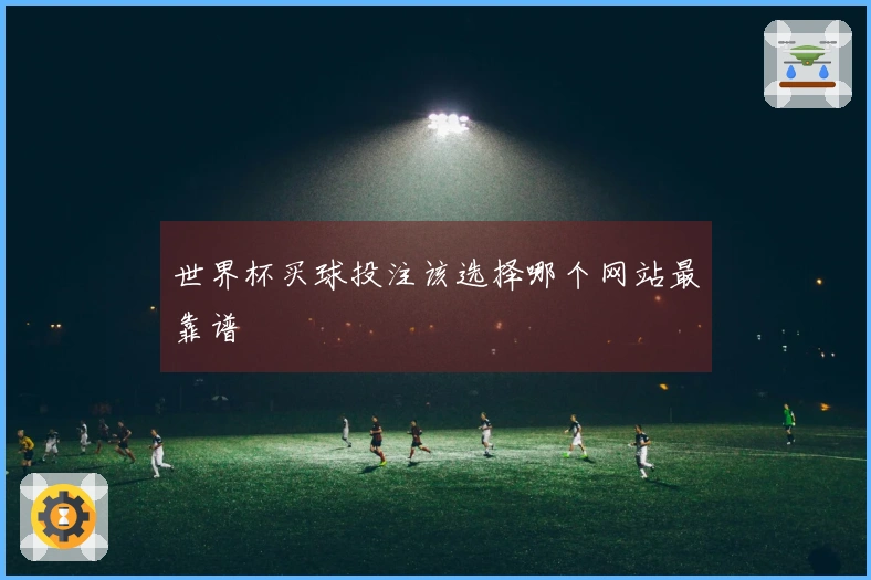 世界杯买球投注该选择哪个网站最靠谱