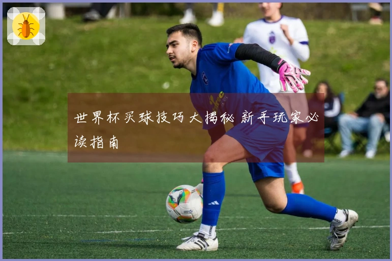 世界杯买球技巧大揭秘 新手玩家必读指南