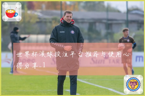 世界杯滚球投注平台推荐与使用心得分享_1