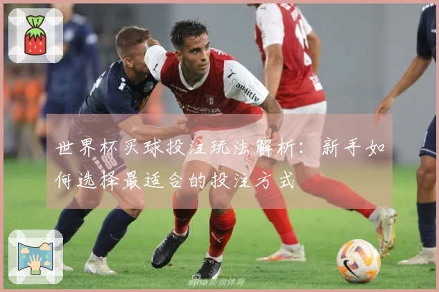 世界杯买球投注玩法解析：新手如何选择最适合的投注方式
