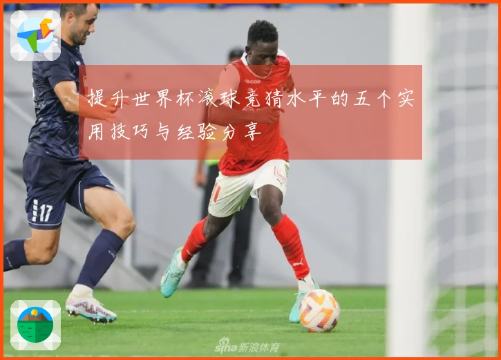 提升世界杯滚球竞猜水平的五个实用技巧与经验分享