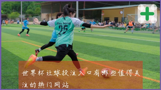 世界杯让球投注入口有哪些值得关注的热门网站