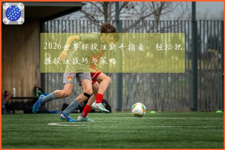 2026世界杯投注新手指南，轻松把握投注技巧与策略