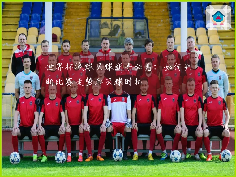 世界杯滚球买球新手必看：如何判断比赛走势和买球时机