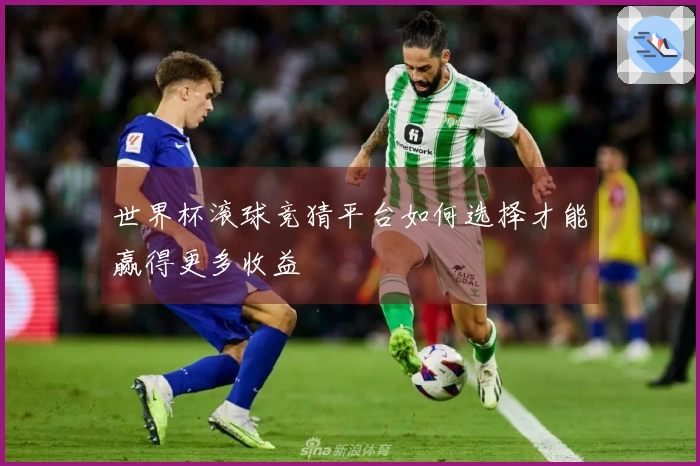 世界杯滚球竞猜平台如何选择才能赢得更多收益