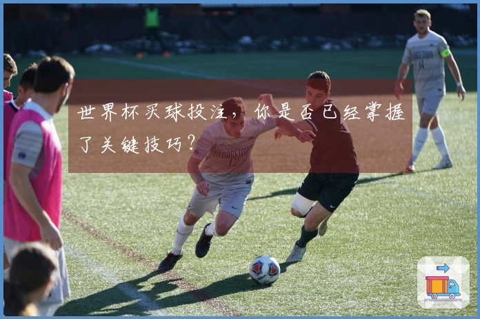 世界杯买球投注，你是否已经掌握了关键技巧？