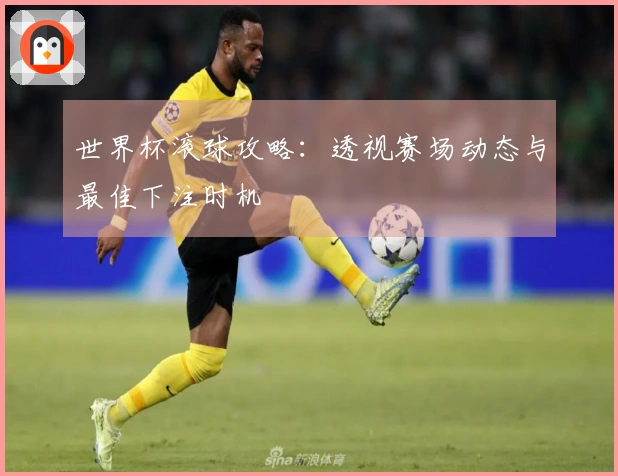 世界杯滚球攻略：透视赛场动态与最佳下注时机