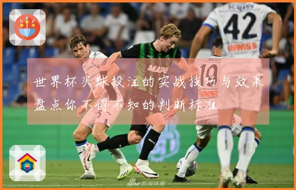 世界杯买球投注的实战技巧与效果盘点你不得不知的判断标准