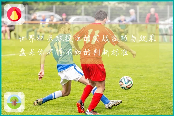 世界杯买球投注的实战技巧与效果盘点你不得不知的判断标准