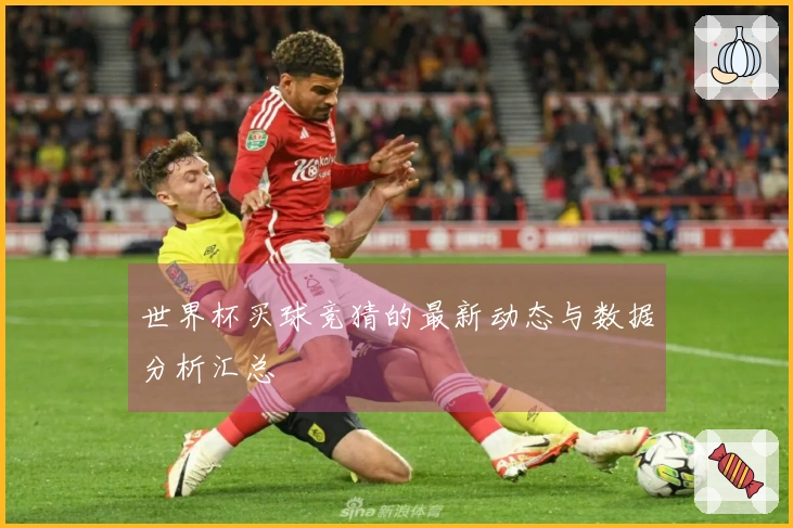 世界杯买球竞猜的最新动态与数据分析汇总