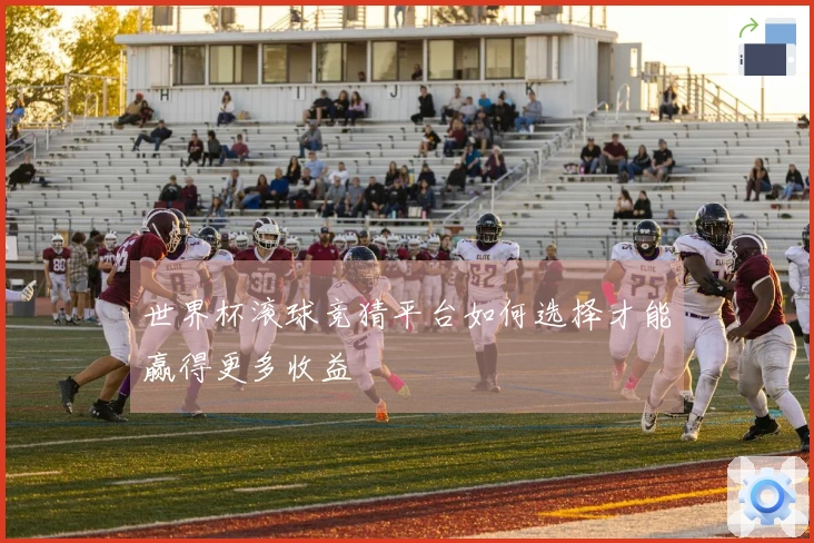 世界杯滚球竞猜平台如何选择才能赢得更多收益