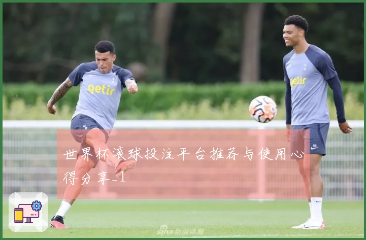 世界杯滚球投注平台推荐与使用心得分享_1