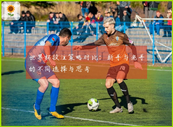 世界杯投注策略对比：新手与老手的不同选择与思考