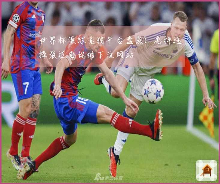 世界杯滚球竞猜平台盘点：怎样选择最适合你的下注网站