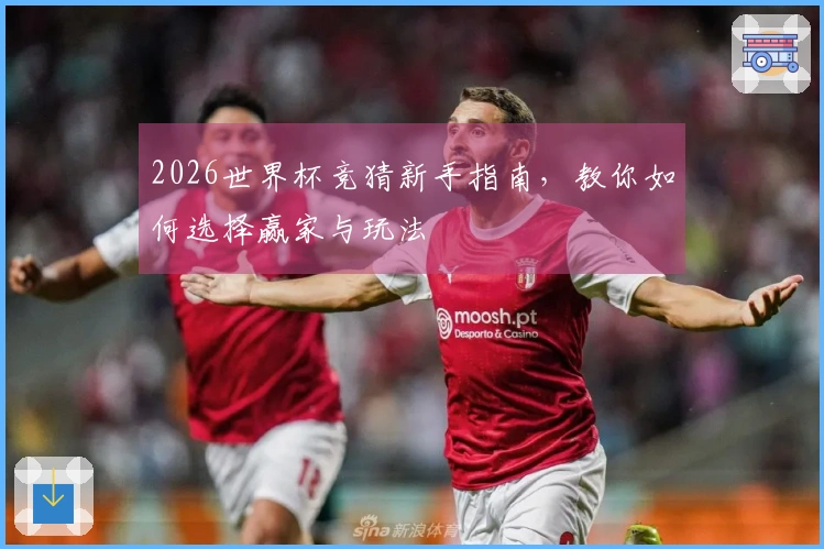 2026世界杯竞猜新手指南，教你如何选择赢家与玩法