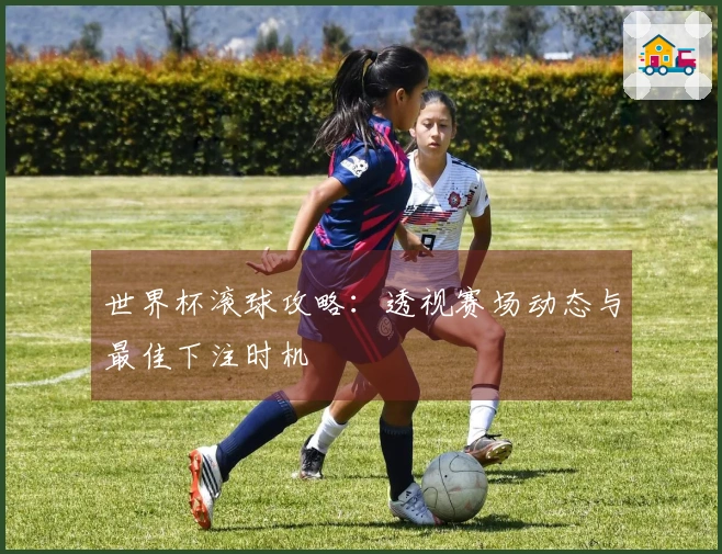 世界杯滚球攻略：透视赛场动态与最佳下注时机