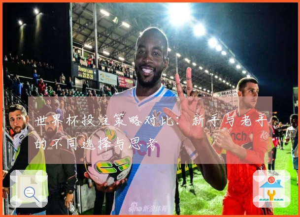 世界杯投注策略对比:新手与老手的不同选择与思考