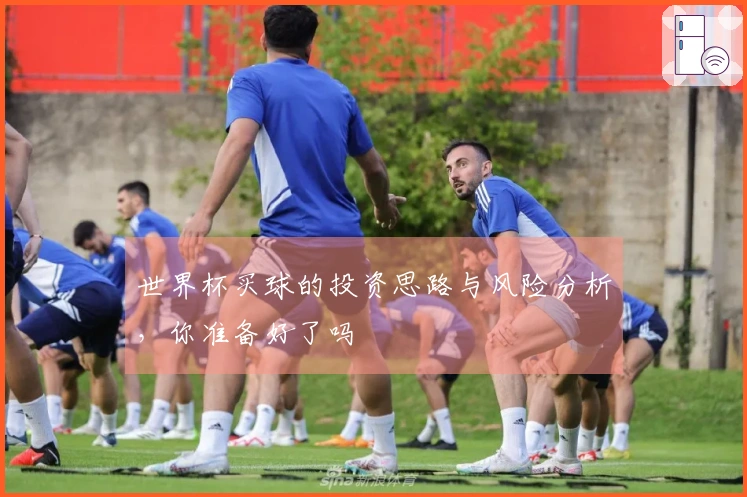 世界杯买球的投资思路与风险分析，你准备好了吗
