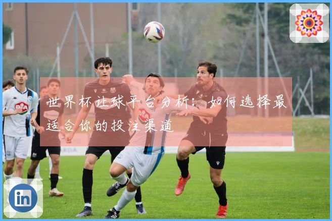 世界杯让球平台分析：如何选择最适合你的投注渠道